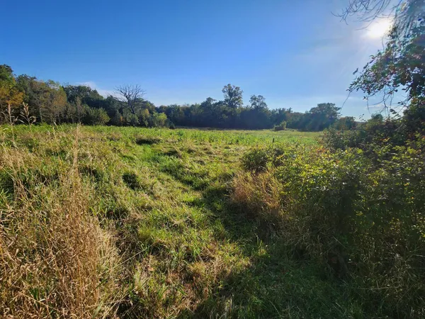 $1,495,000 | 8800 Grace Lane North, Greenfield, MN 55357