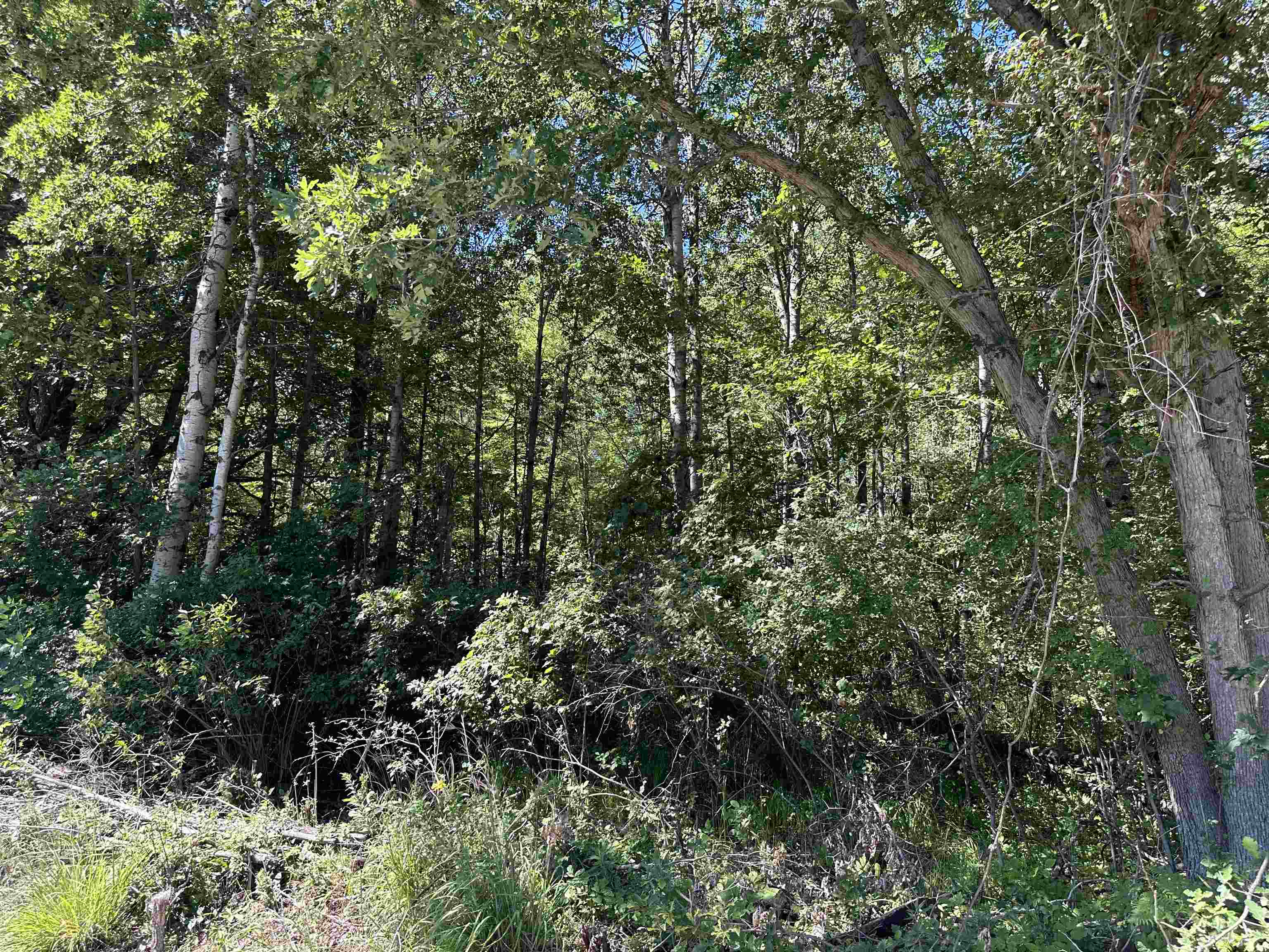 Kna Conrad Road Standish, MI 48658 - Photo 13 of 18