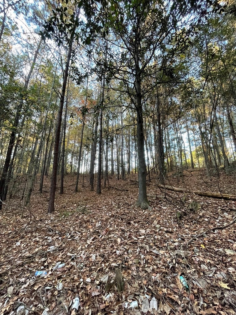 0 Bill Yance Road Webb, AL 36376 - Photo 2 of 15 Gallery Image 2