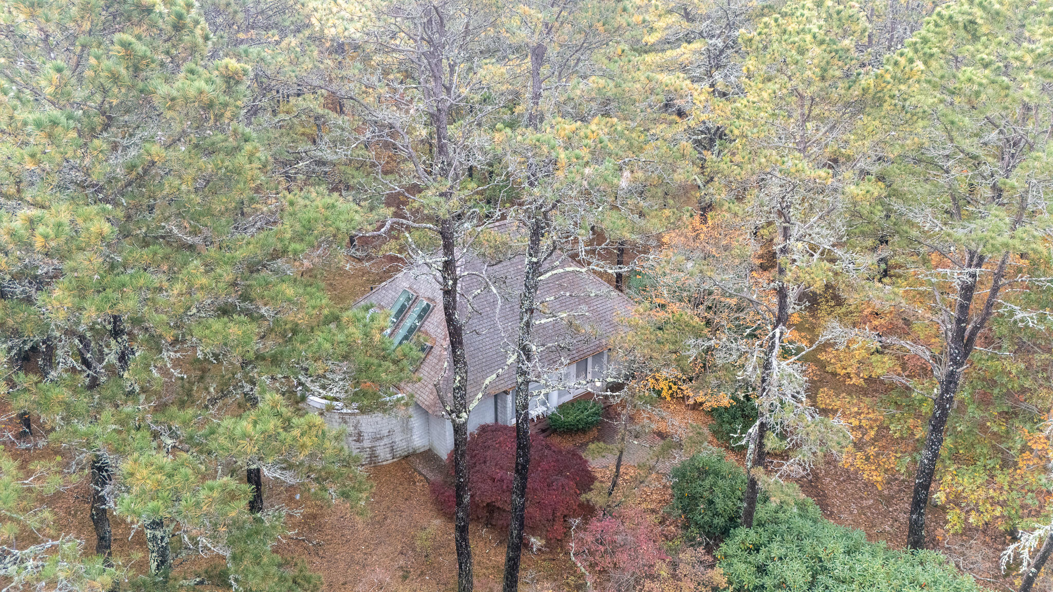 65-75 Deer Path Way Wellfleet, MA 02667 - Photo 74 of 85 Poolhouse/studio aerial