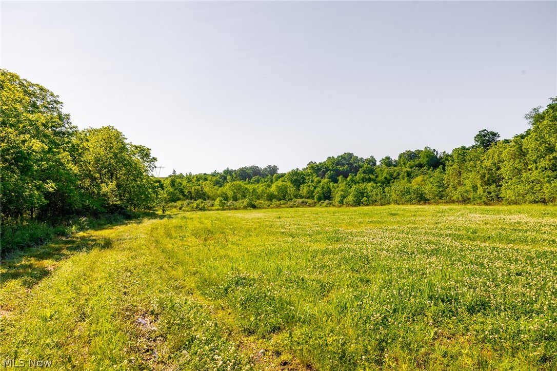 12680 Old Riley Road, Unit 5 Frazeysburg, OH 43822 - Photo 2 of 44