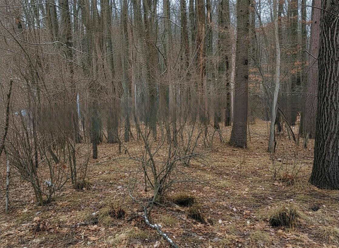 Lot # Squirrel Run Road Farwell, MI 48622 - Photo 9 of 16