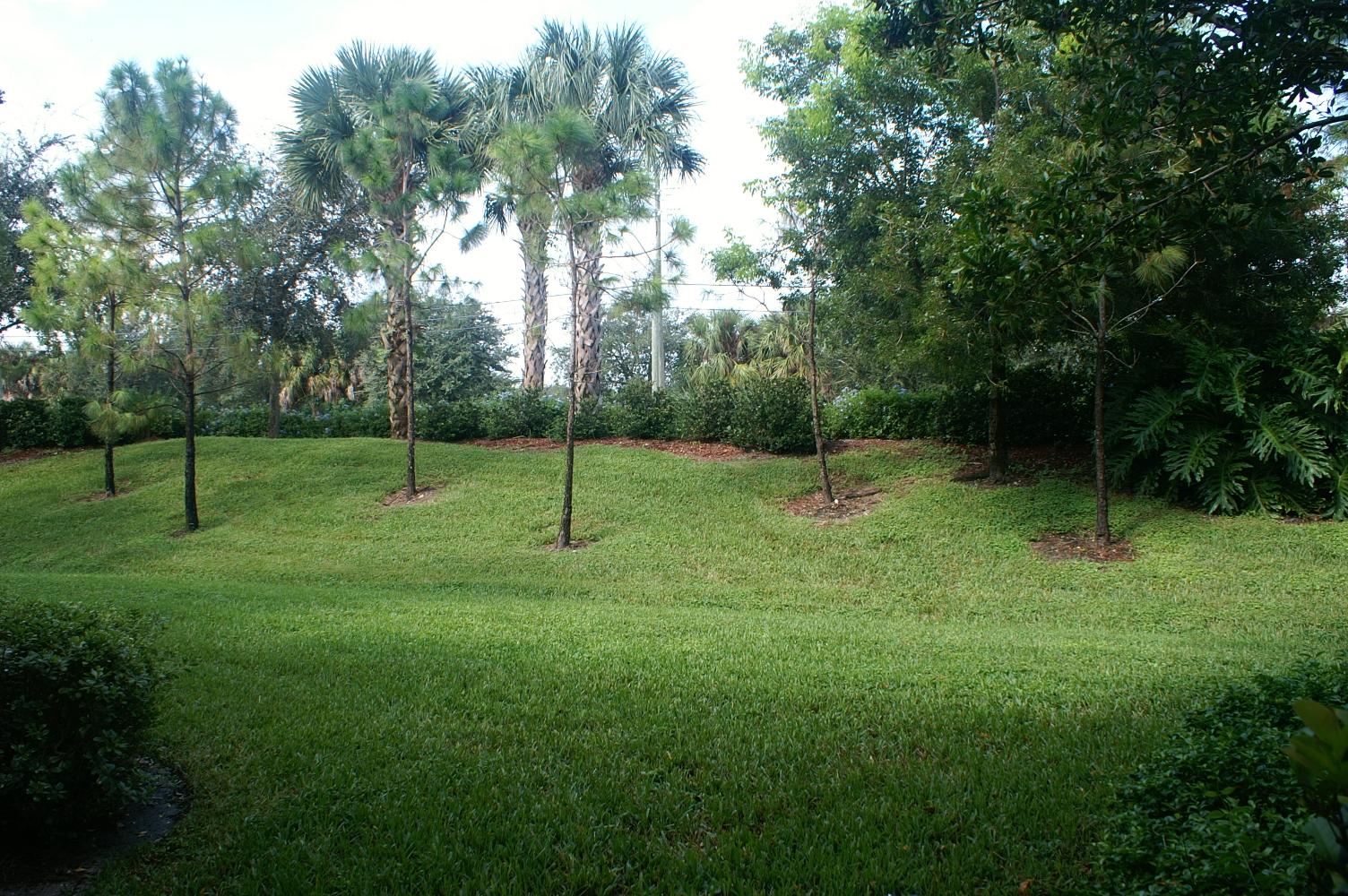 10319 Trivero Terrace Boynton Beach, FL 33437 - Photo 2 of 18 View of Yard