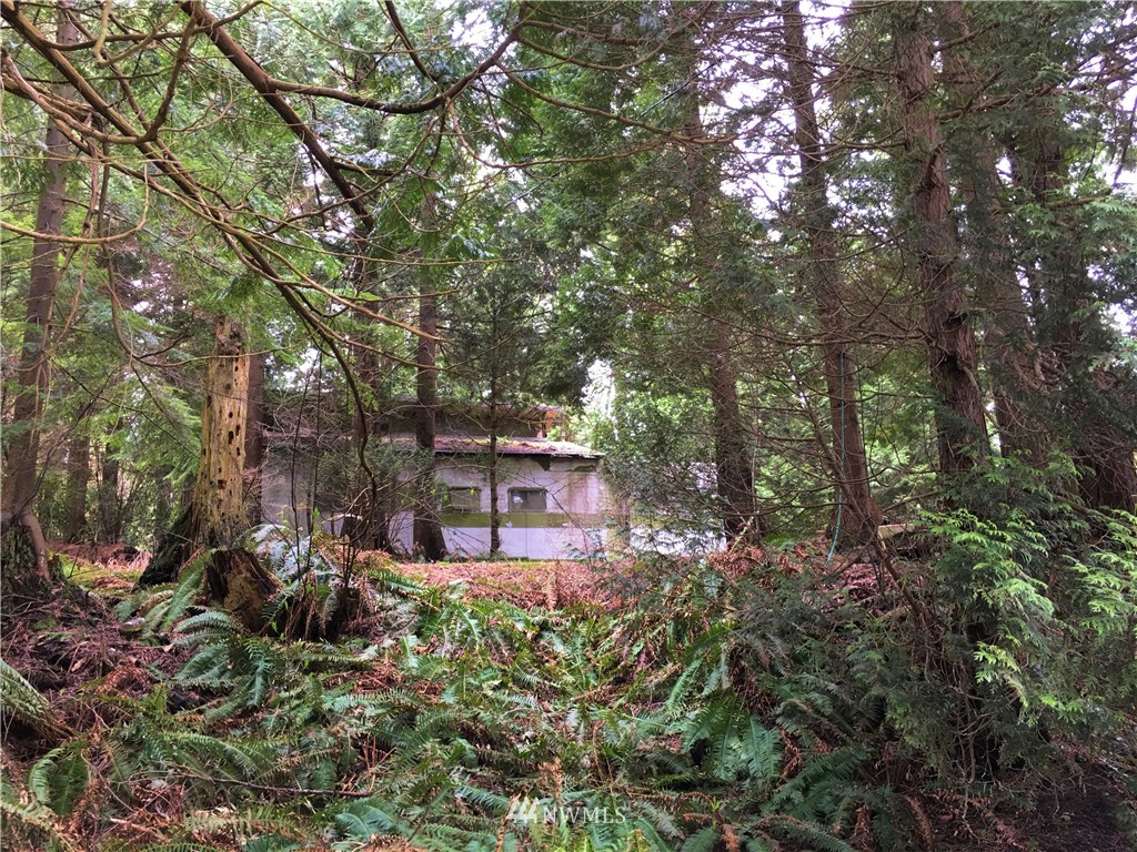 0 Masterson Road Blaine, WA 98230 - Photo 1 of 14