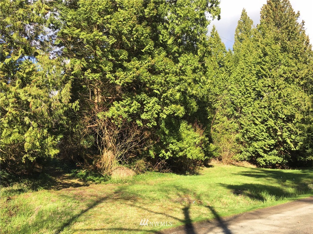 0 Masterson Road Blaine, WA 98230 - Photo 5 of 14