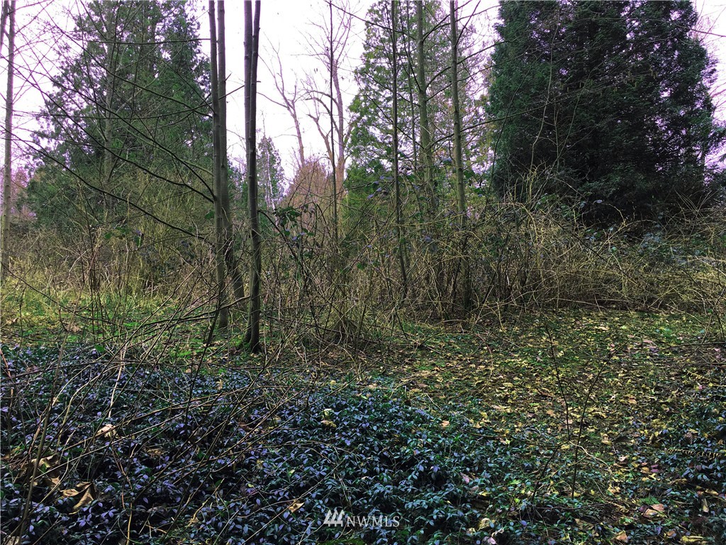 0 Masterson Road Blaine, WA 98230 - Photo 9 of 14