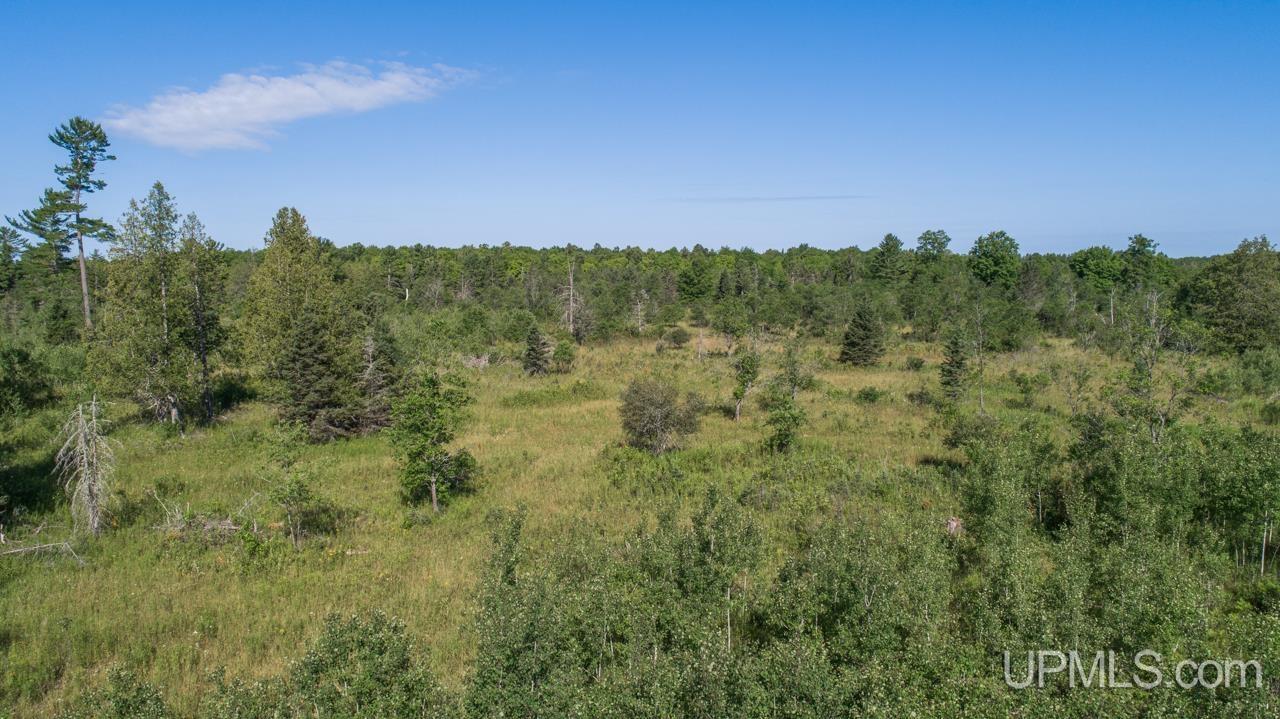 Tbd 80-acres 30th Road Rapid River, MI 49878 - Photo 14 of 17