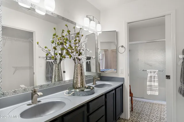 a bathroom with a granite countertop sink a potted plant and a shower