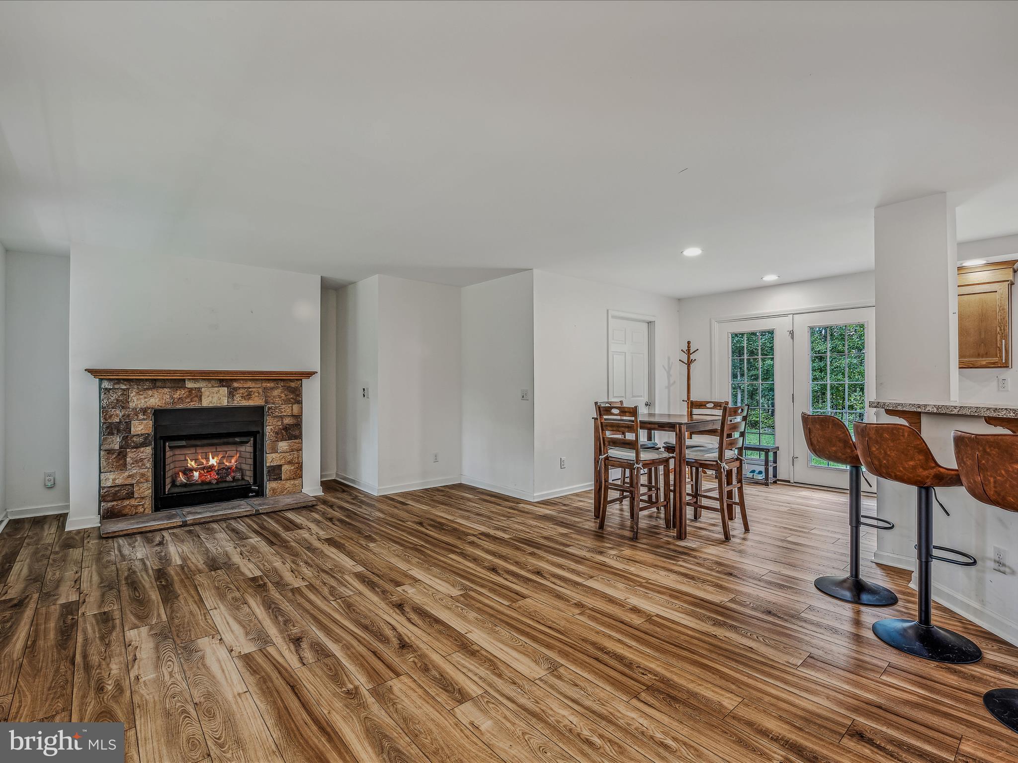 484 Sleepywoods Road Cross Junction, VA 22625 - Photo 48 of 49 Family Room, Fireplace, Open Floor Plan, LVP Floor