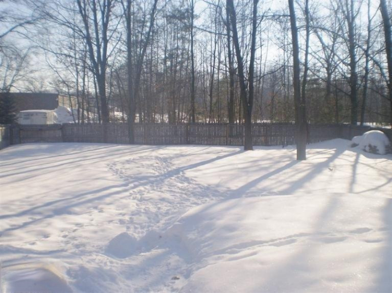 16652 Northwood Trail Spring Lake, MI 49456 - Photo 19 of 21 Additional Photo