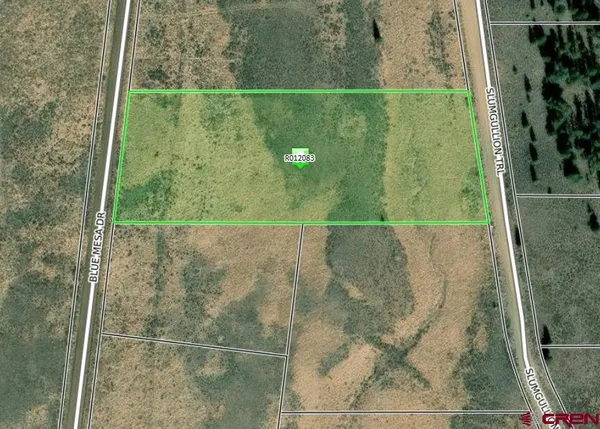 $48,500 | 1411 Slumgullion Trail, Powderhorn, CO 81243