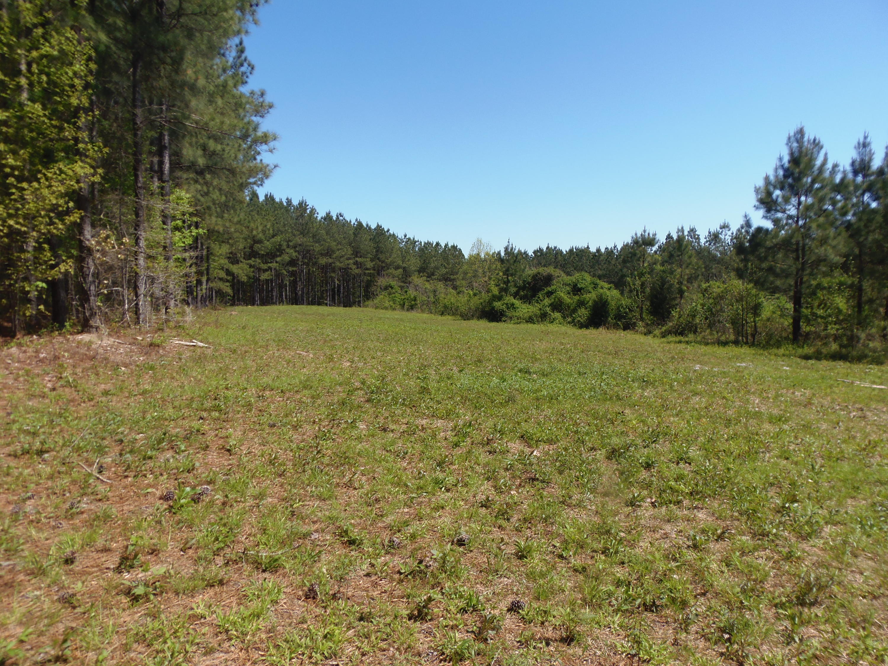 192 County Road Niota, TN 37826 - Photo 1 of 37 VERY PRIVATE!