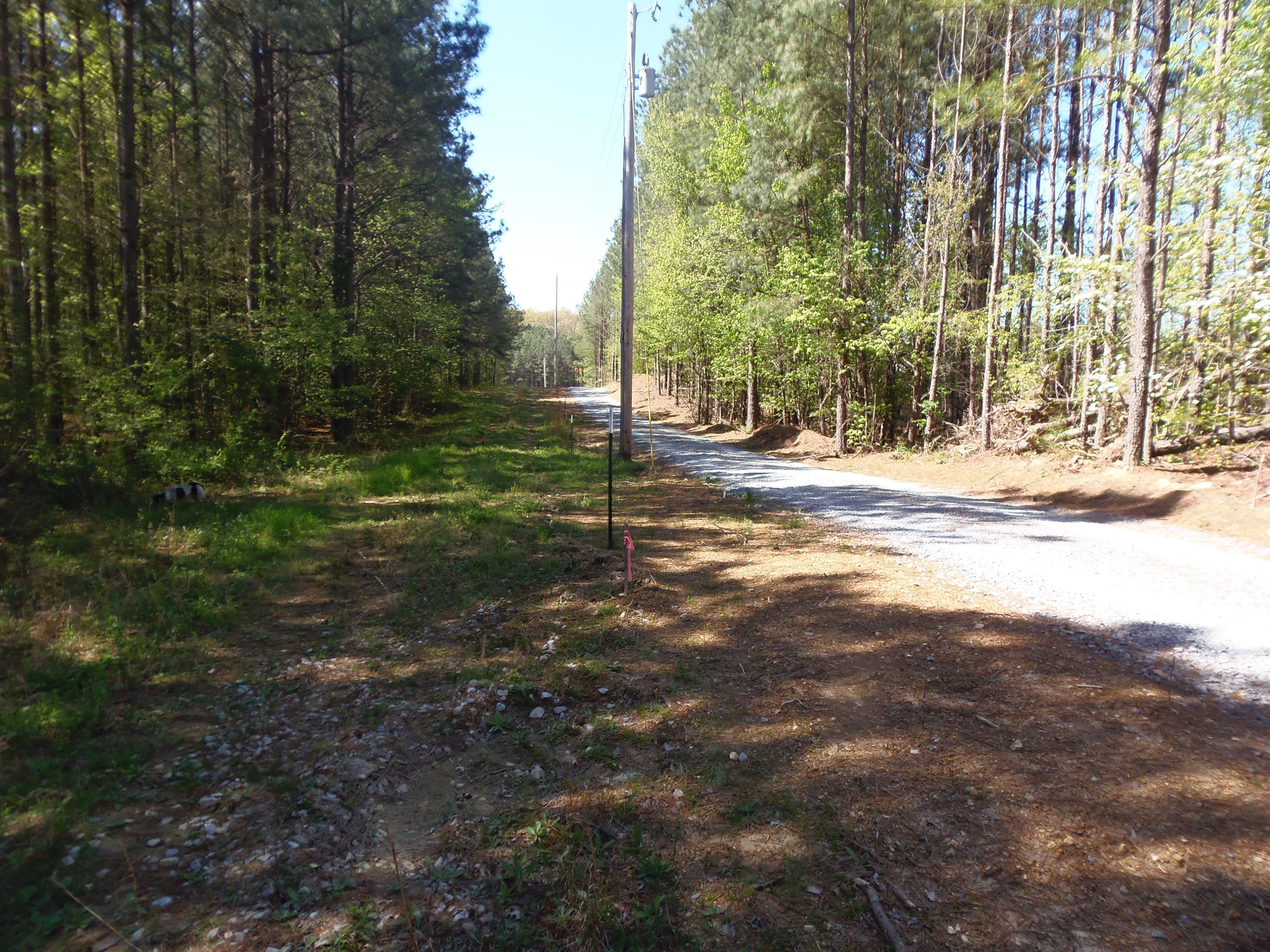 192 County Road Niota, TN 37826 - Photo 12 of 37 P4200806