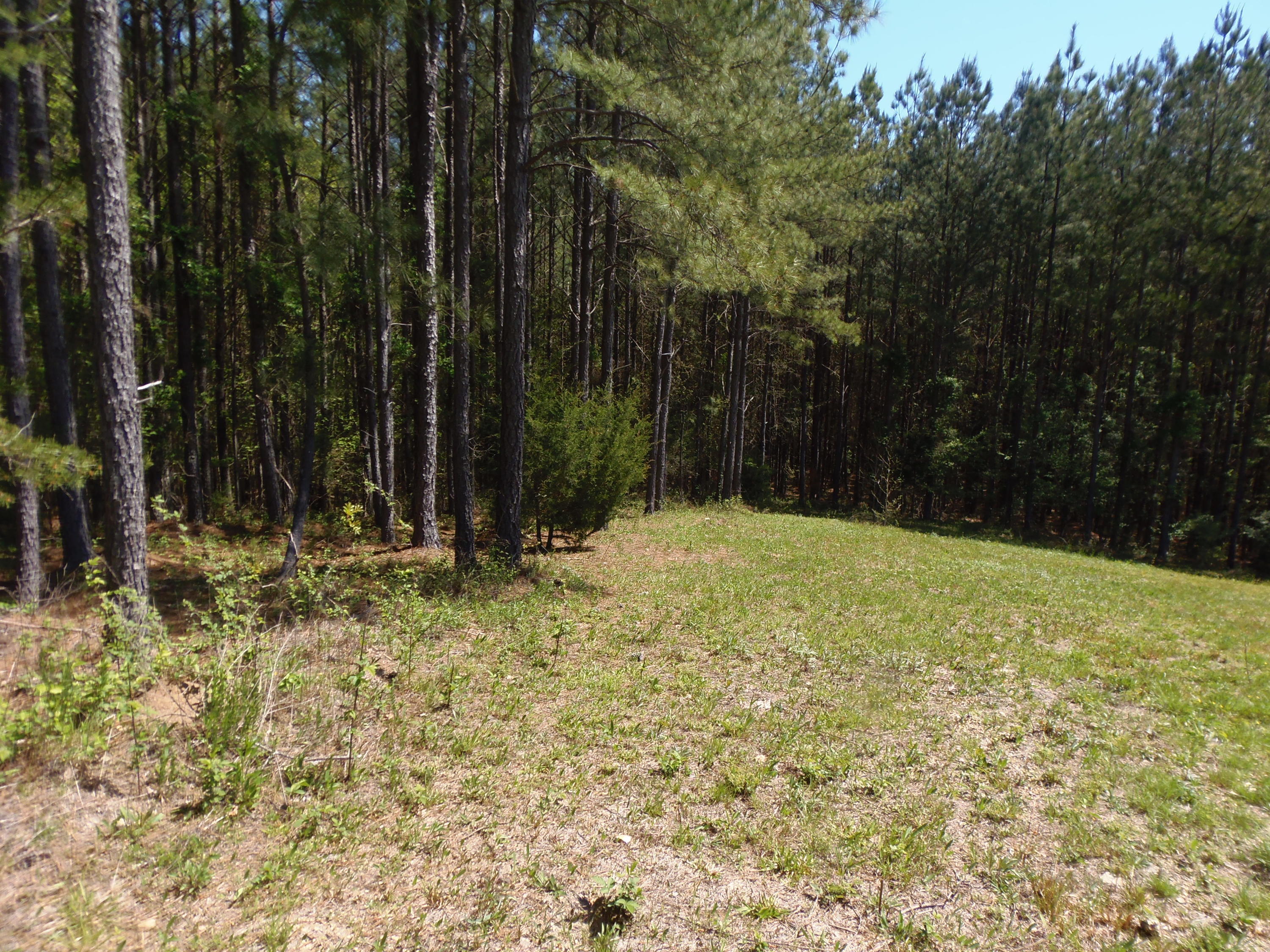 192 County Road Niota, TN 37826 - Photo 20 of 37 P4200827