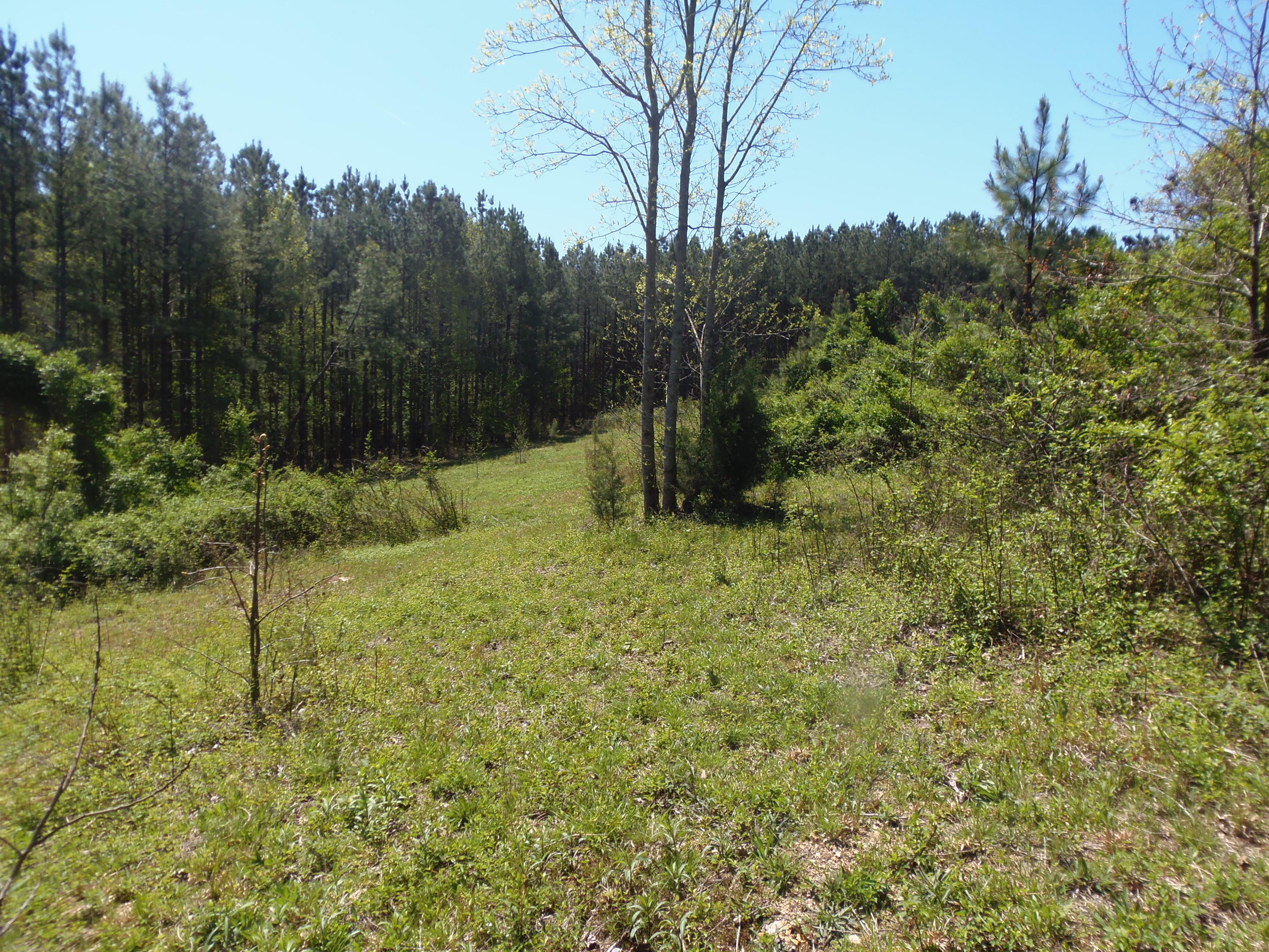 192 County Road Niota, TN 37826 - Photo 21 of 37 P4200828