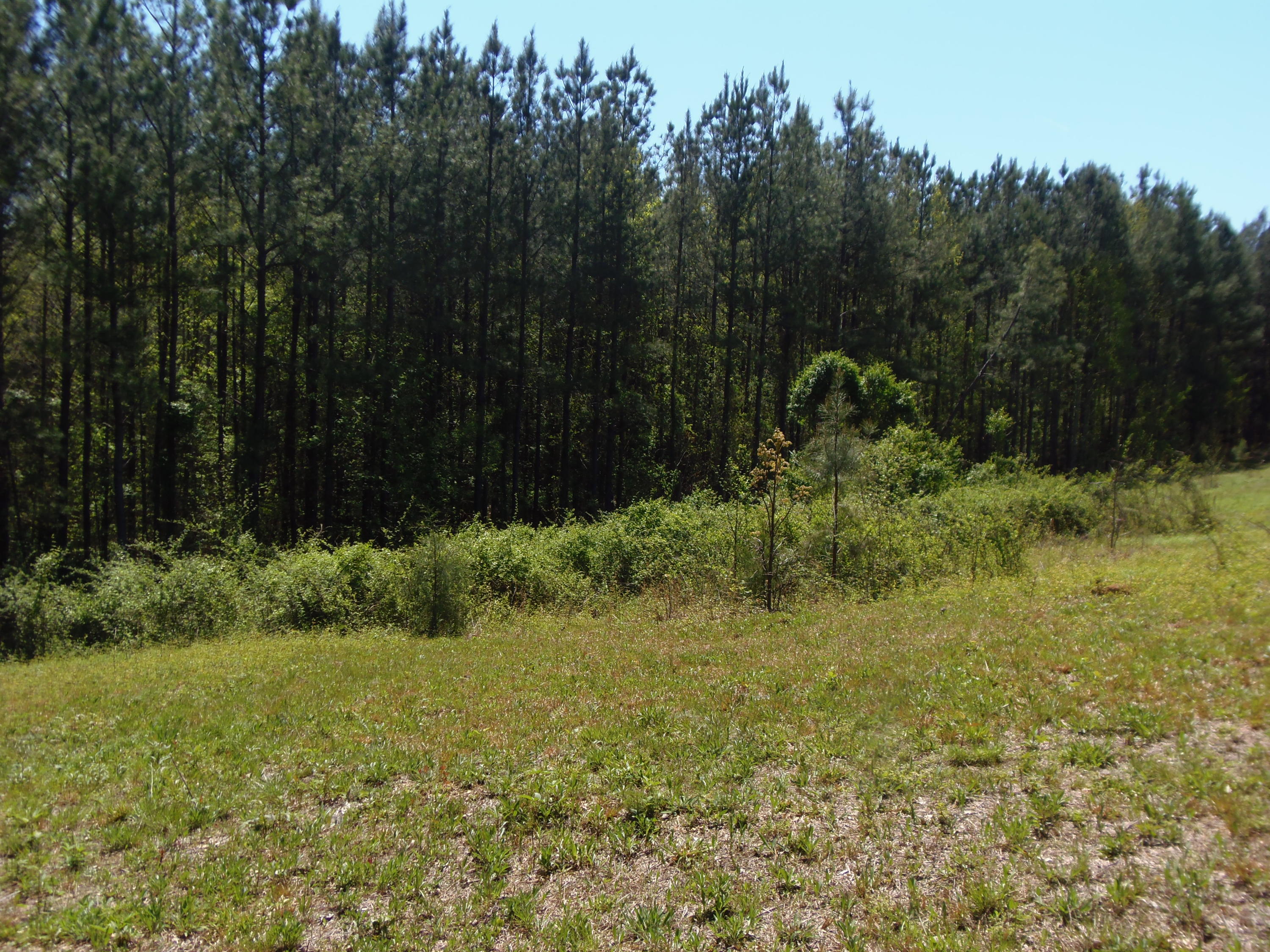 192 County Road Niota, TN 37826 - Photo 24 of 37 P4200831