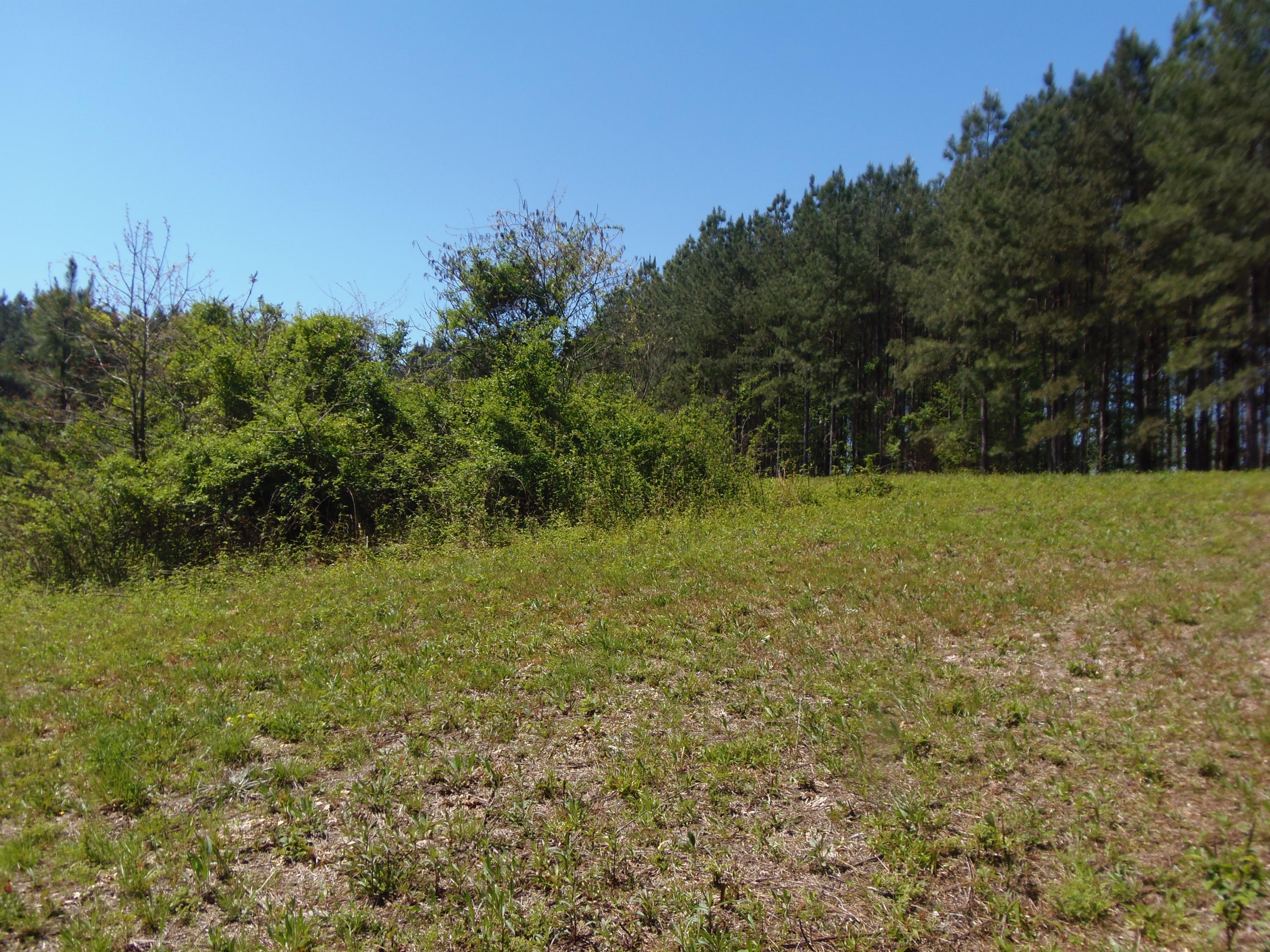 192 County Road Niota, TN 37826 - Photo 25 of 37 P4200832