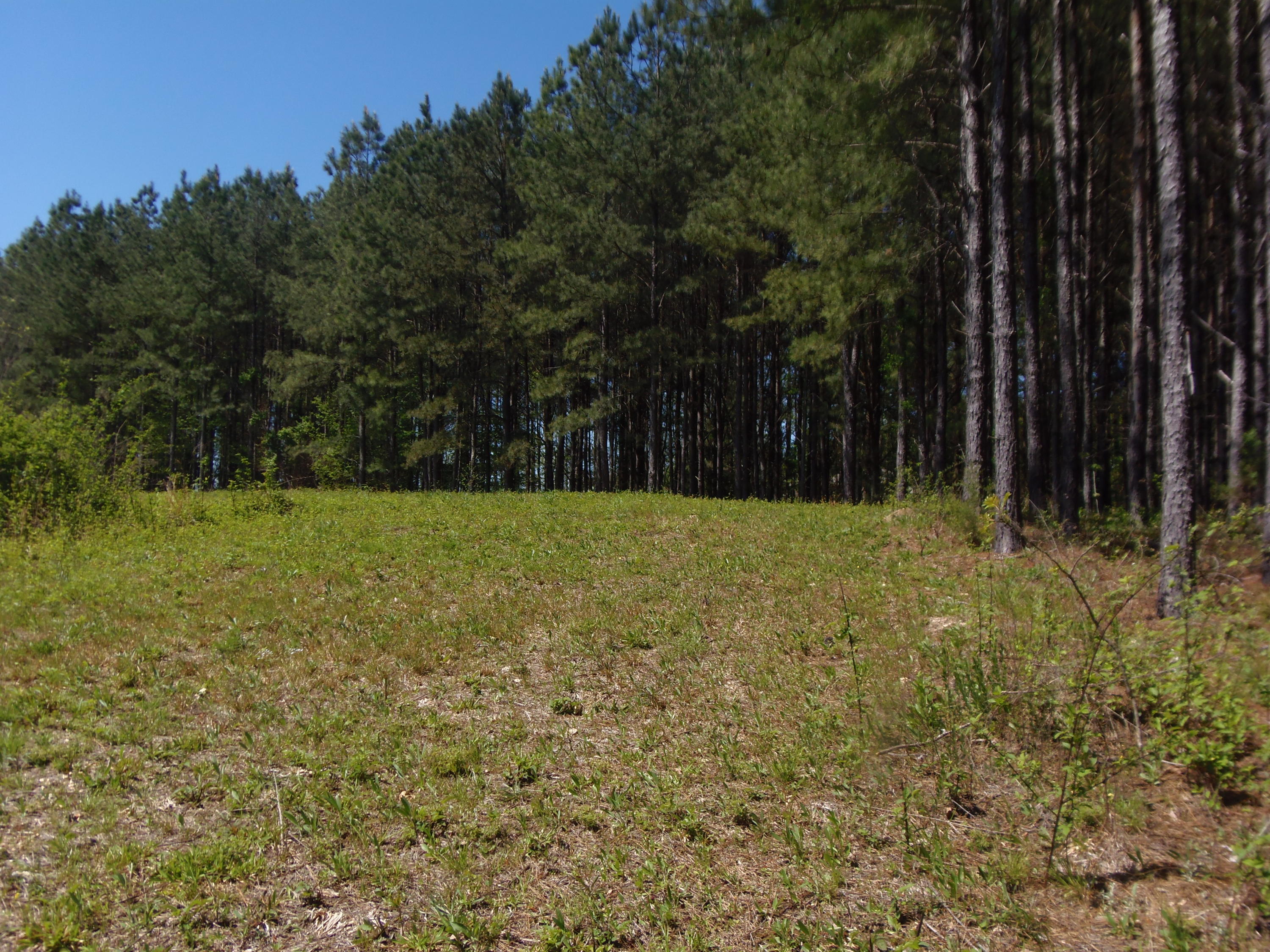 192 County Road Niota, TN 37826 - Photo 26 of 37 P4200833