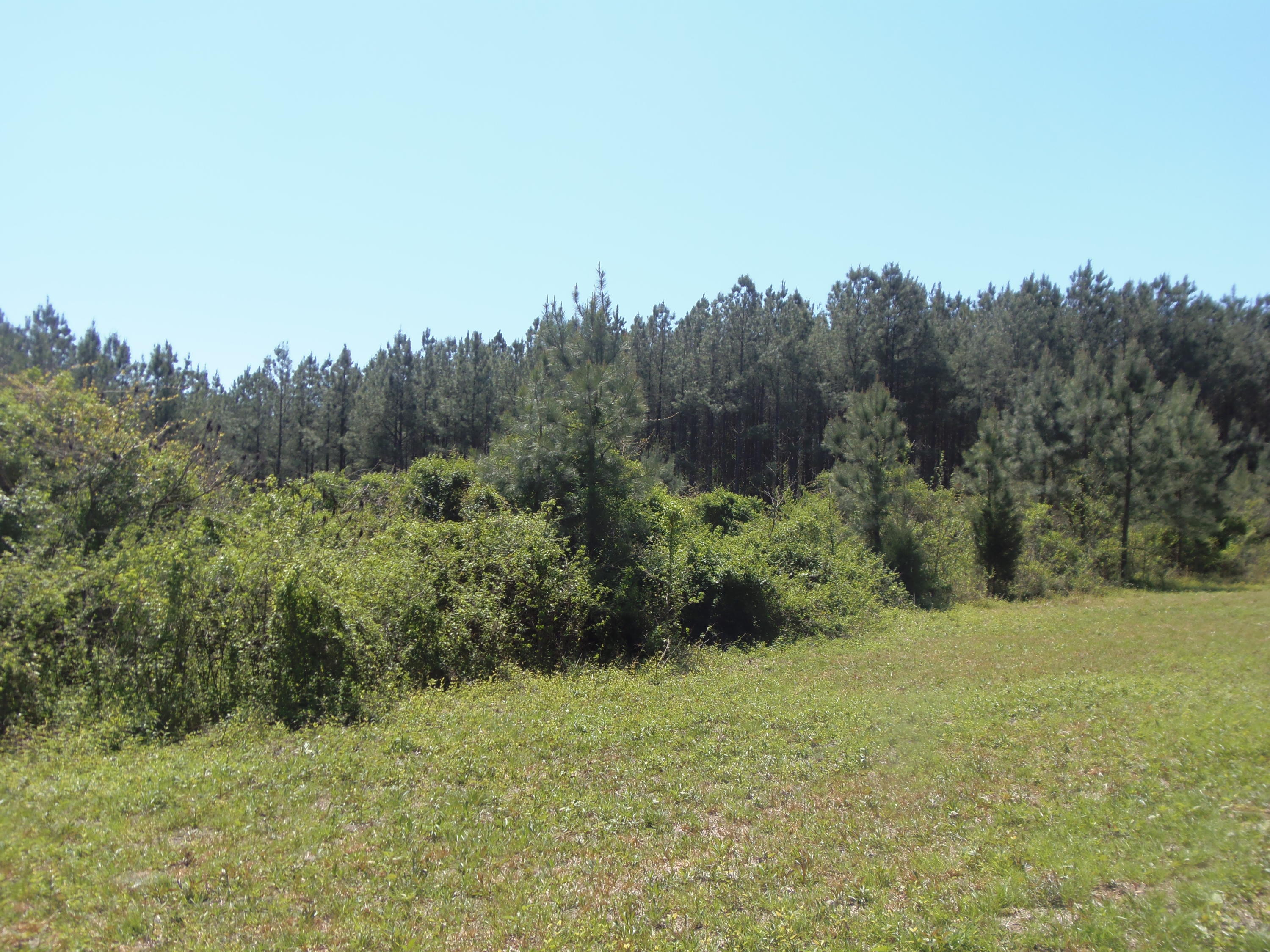 192 County Road Niota, TN 37826 - Photo 27 of 37 P4200834