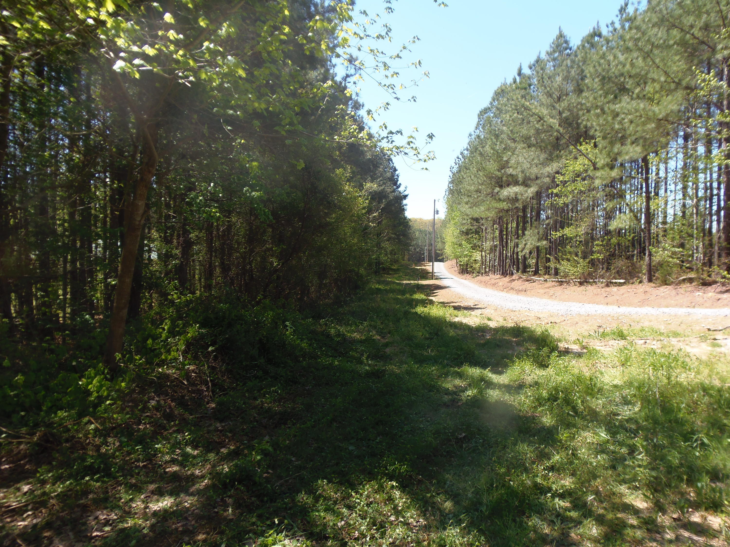 192 County Road Niota, TN 37826 - Photo 30 of 37 LONG DRIVEWAY