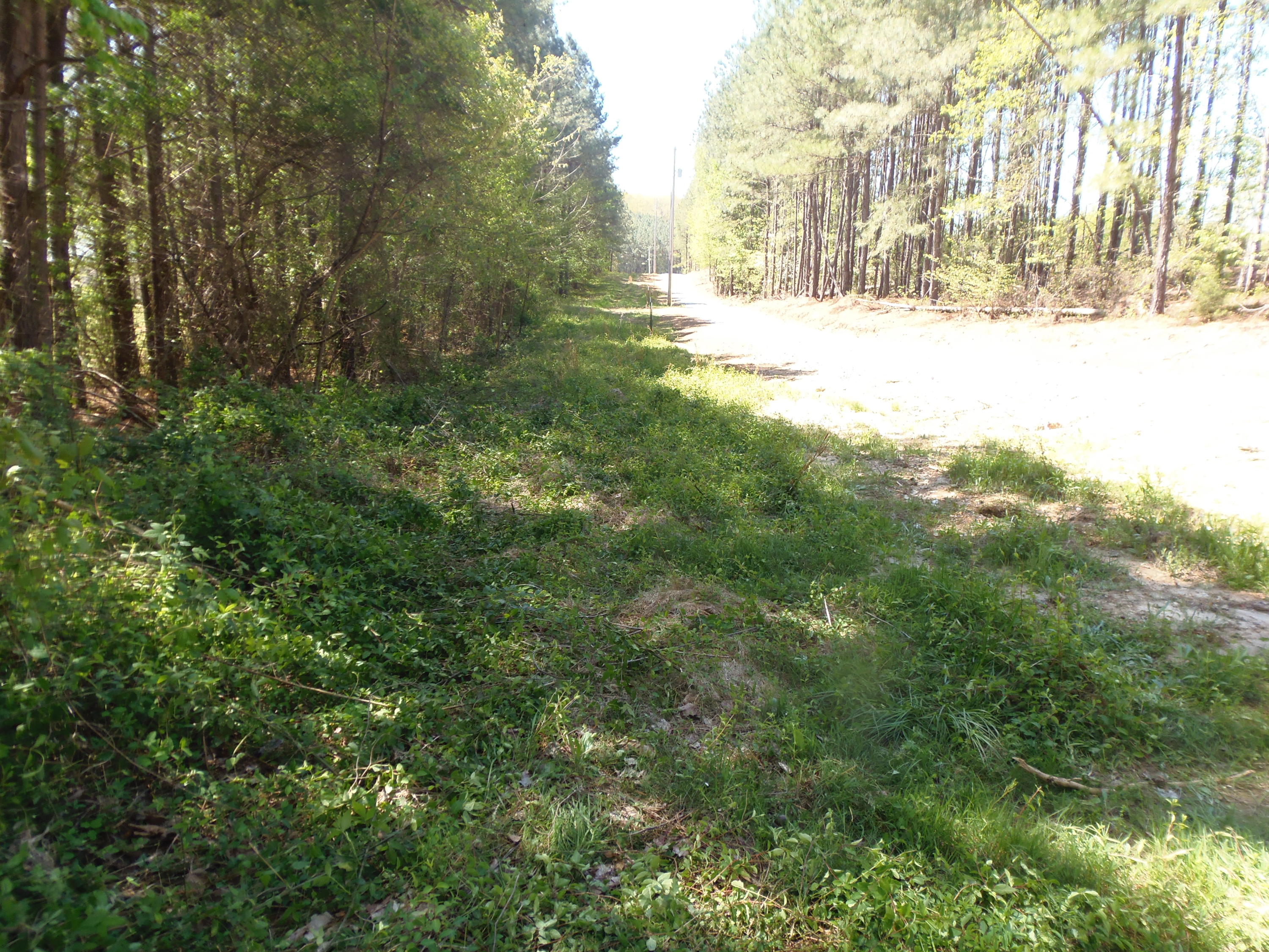 192 County Road Niota, TN 37826 - Photo 31 of 37 P4200838