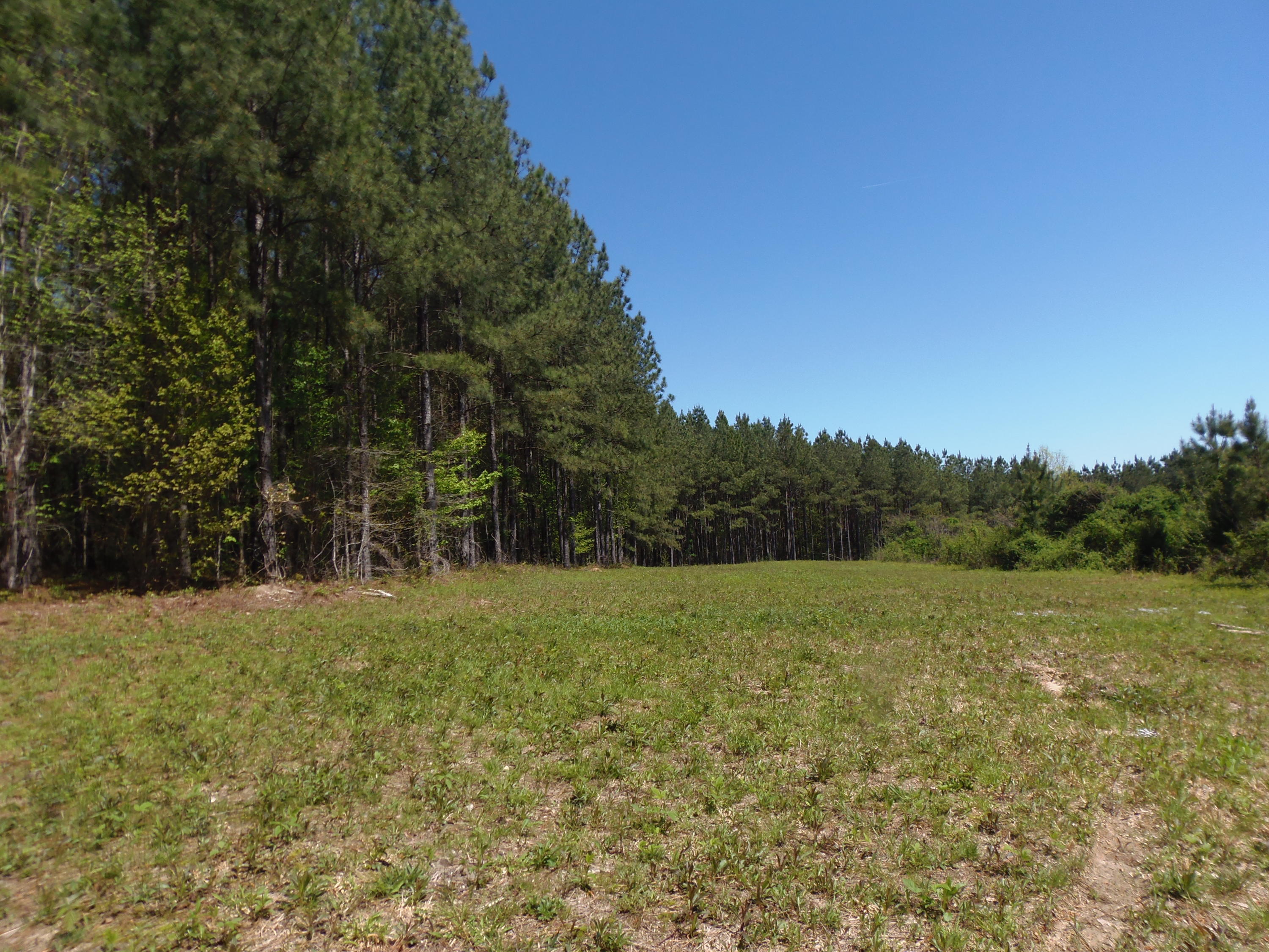 192 County Road Niota, TN 37826 - Photo 33 of 37 P4200842