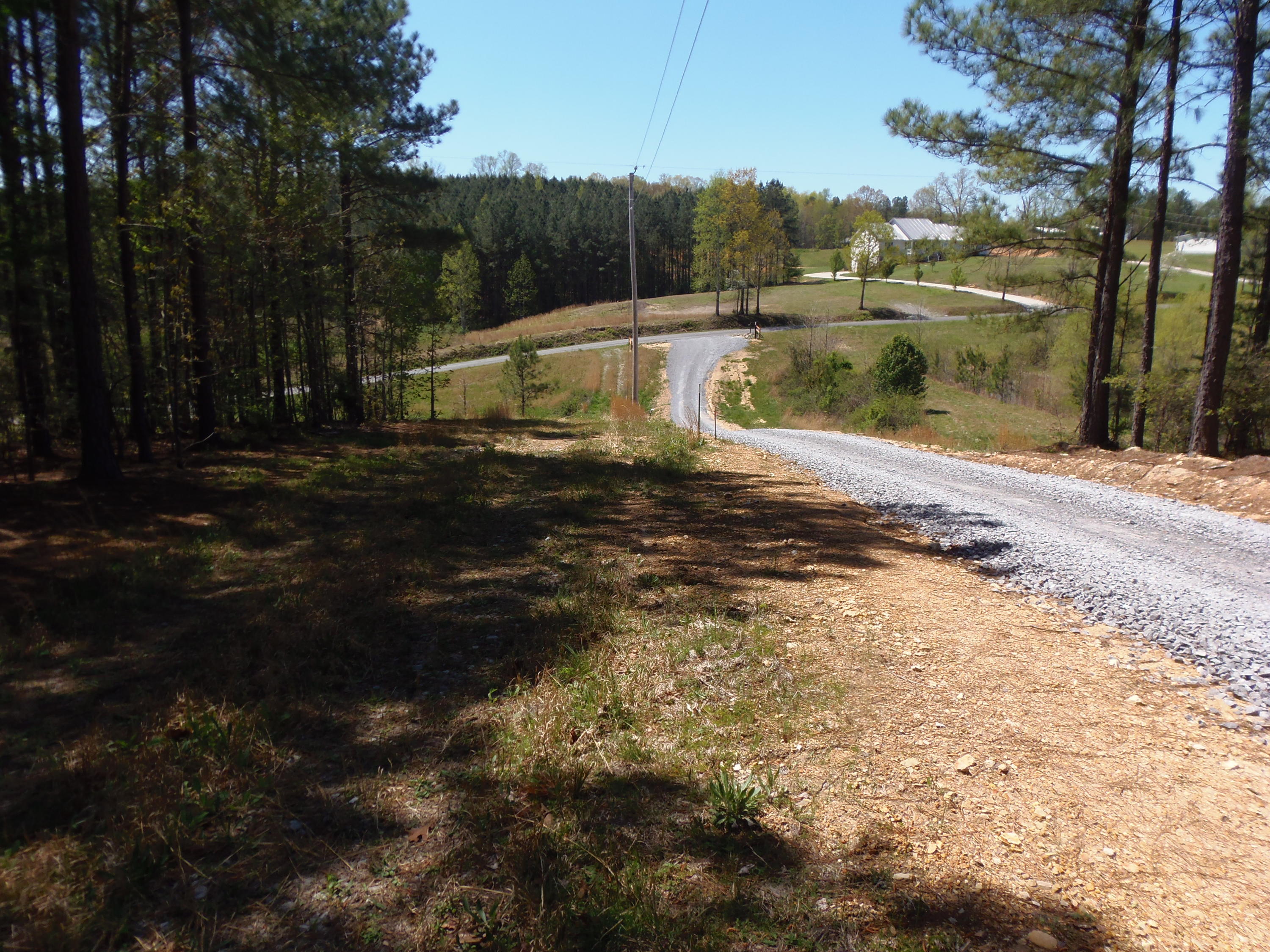 192 County Road Niota, TN 37826 - Photo 34 of 37 RIGHT SIDE IS DRIVEWAY