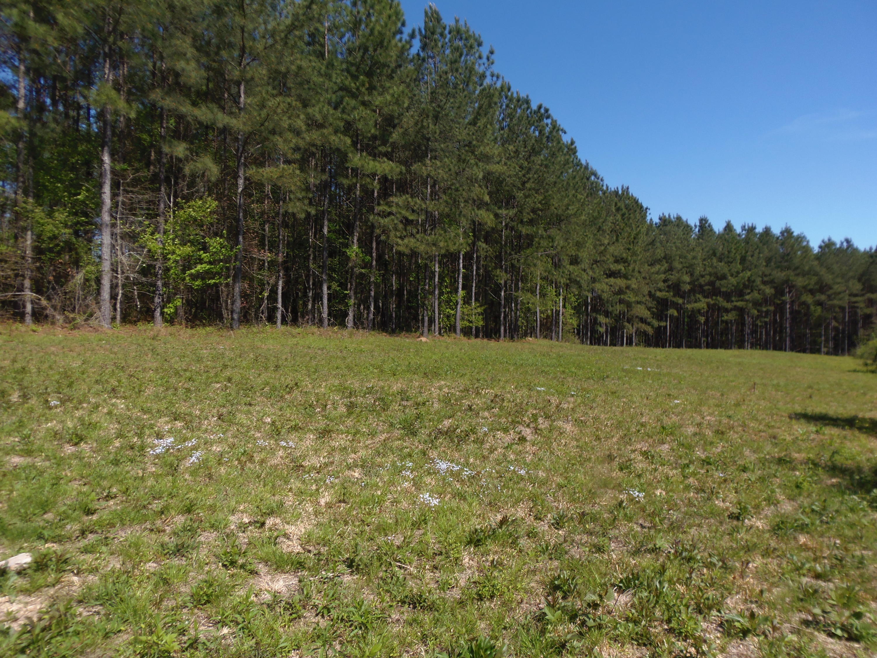 192 County Road Niota, TN 37826 - Photo 6 of 37 P4200809