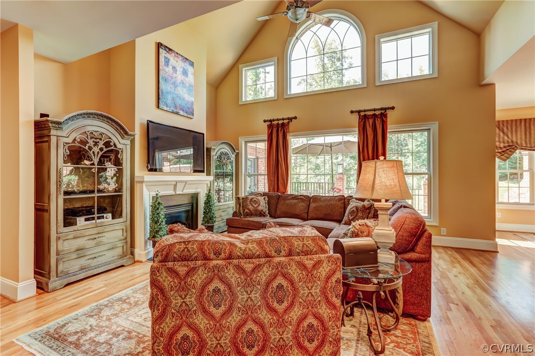 4042 Bircham Loop Midlothian, VA 23113 - Photo 3 of 23 Gallery Image 3