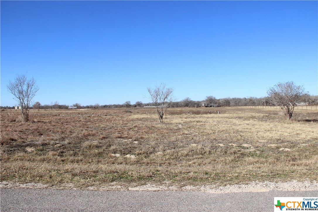 3 Kothmann Road La Vernia, TX 78121 - Photo 1 of 1