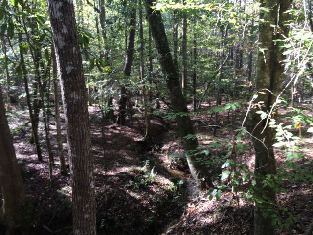 0 Macedonia Road Gloster, MS 39638 - Photo 1 of 21 Main View