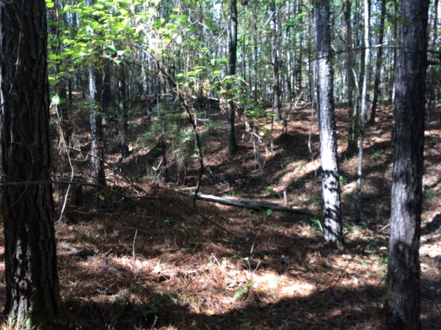 0 Macedonia Road Gloster, MS 39638 - Photo 16 of 21 Photo 16
