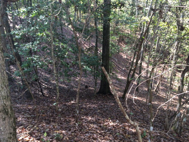0 Macedonia Road Gloster, MS 39638 - Photo 20 of 21 Photo 20