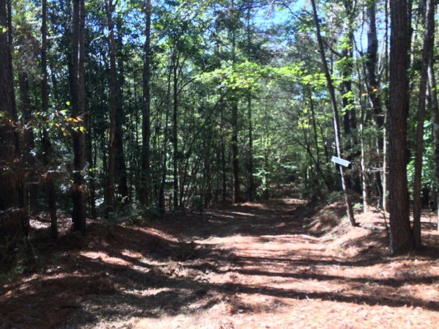 0 Macedonia Road Gloster, MS 39638 - Photo 2 of 21 Photo 2