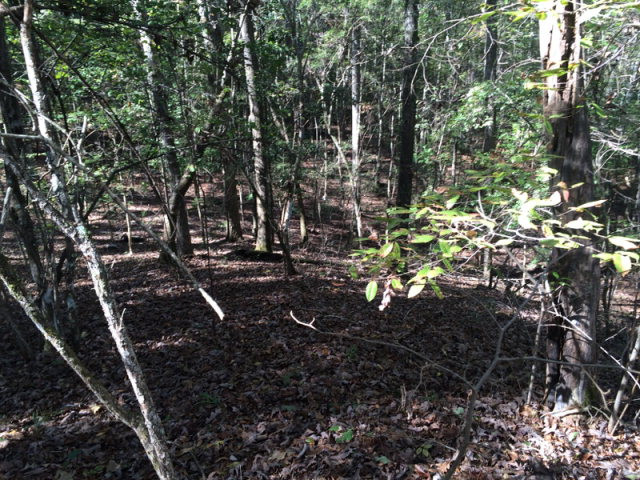 0 Macedonia Road Gloster, MS 39638 - Photo 21 of 21 Photo 21