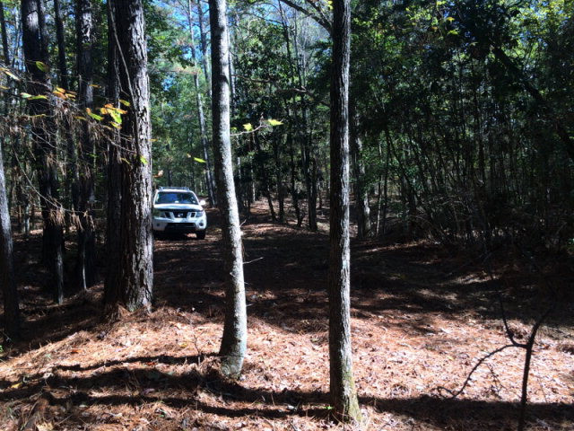 0 Macedonia Road Gloster, MS 39638 - Photo 3 of 21 Photo 3