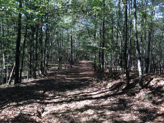 0 Macedonia Road Gloster, MS 39638 - Photo 4 of 21 Photo 4