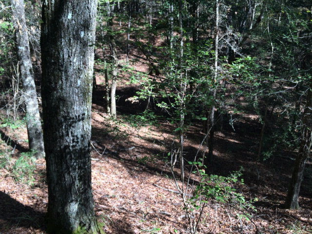 0 Macedonia Road Gloster, MS 39638 - Photo 8 of 21 Photo 8
