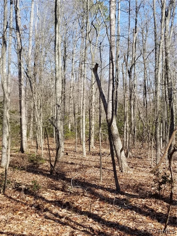 0 Spring Cottage Road Aylett, VA 23009 - Photo 13 of 26 Gallery Image 13