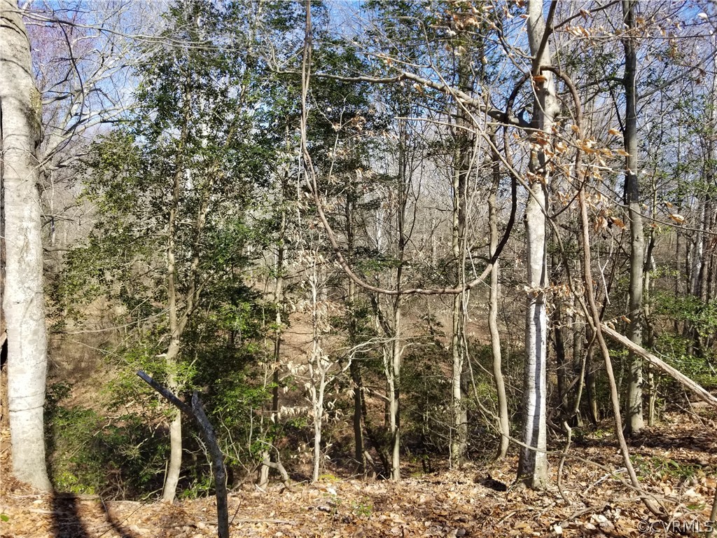 0 Spring Cottage Road Aylett, VA 23009 - Photo 21 of 26 Gallery Image 21