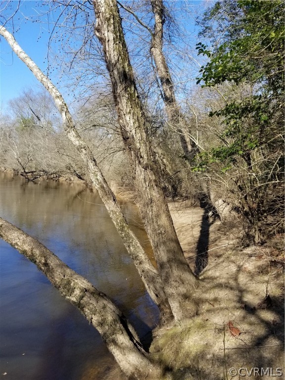 0 Spring Cottage Road Aylett, VA 23009 - Photo 10 of 26 Gallery Image 10