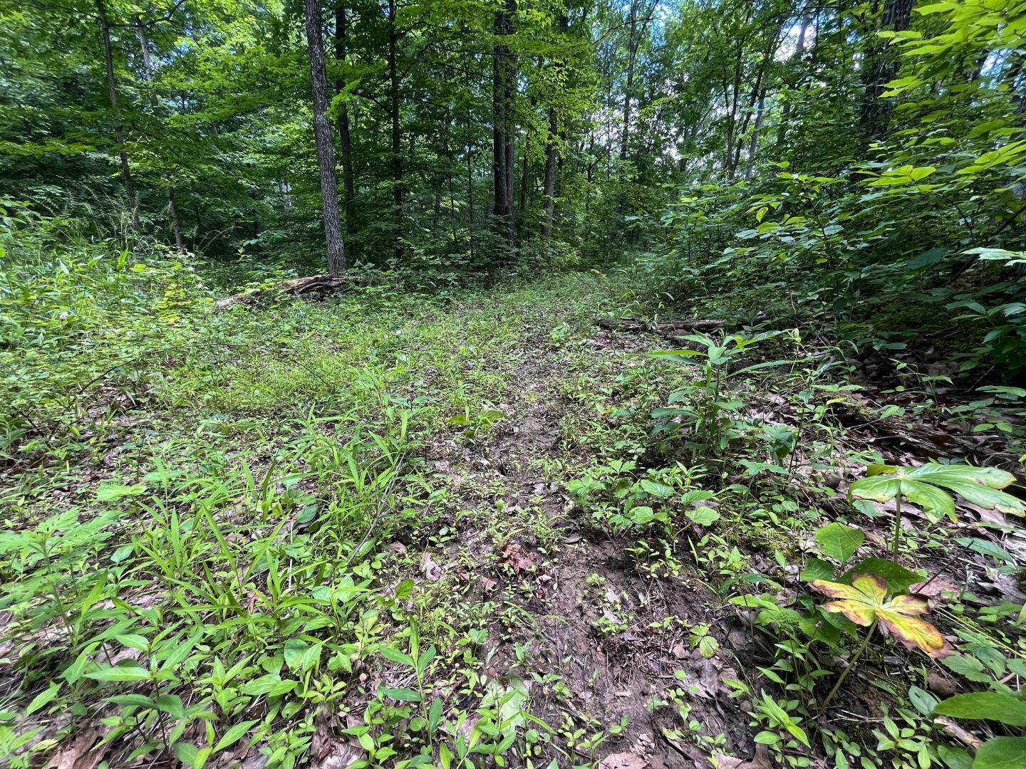 0 Water Works Hill Road Glouster, OH 45732 - Photo 21 of 35 20