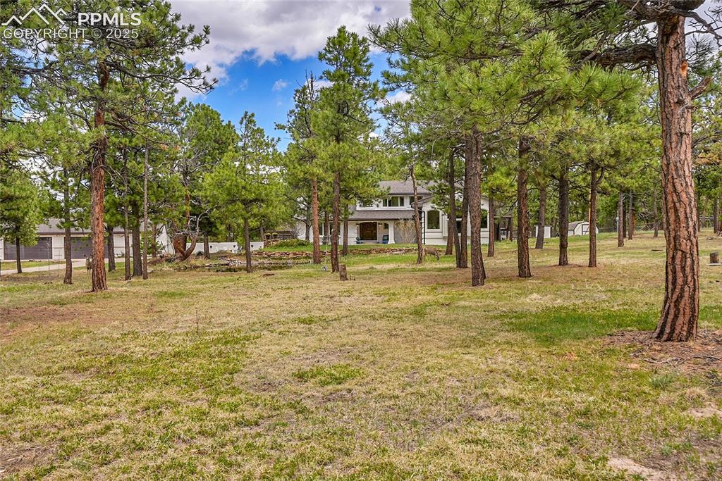 17350 Goshawk Road Colorado Springs, CO 80908 - Photo 47 of 50 a front view of a house with a yard