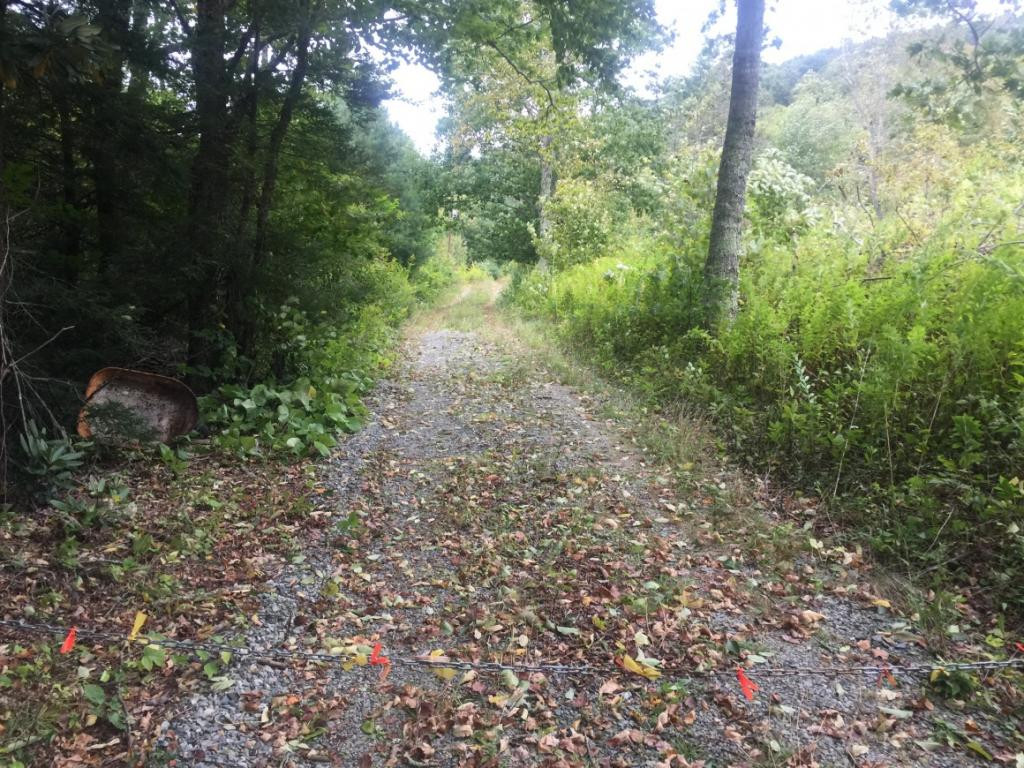 Nice graveled driveway