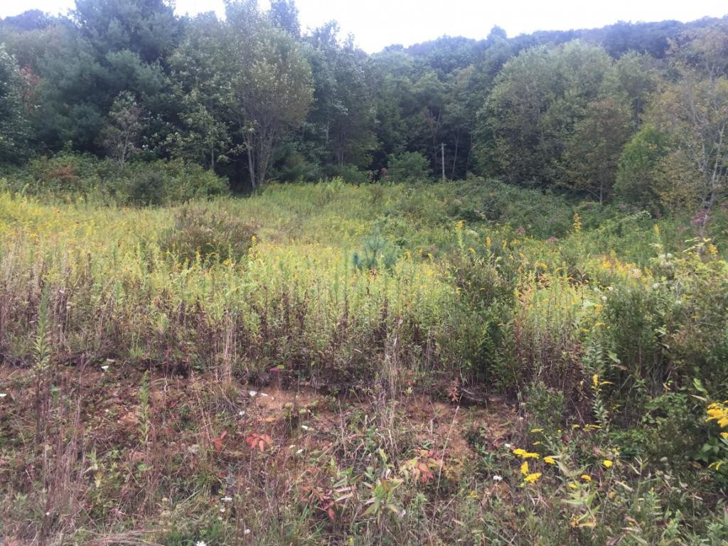 Open field for a house