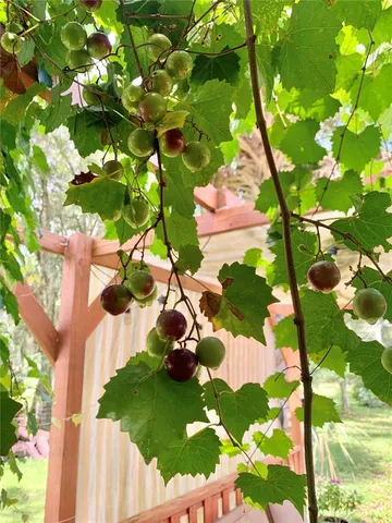 $560,000 | 9150 Southwest 151st Lane, Archer, FL 32618