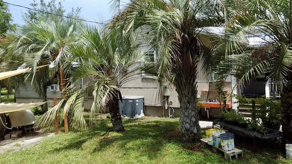 9150 Southwest 151st Lane Archer, FL 32618 - Photo 76 of 81 a view of backyard of house with outdoor seating and trees