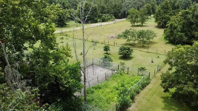 $560,000 | 9150 Southwest 151st Lane, Archer, FL 32618