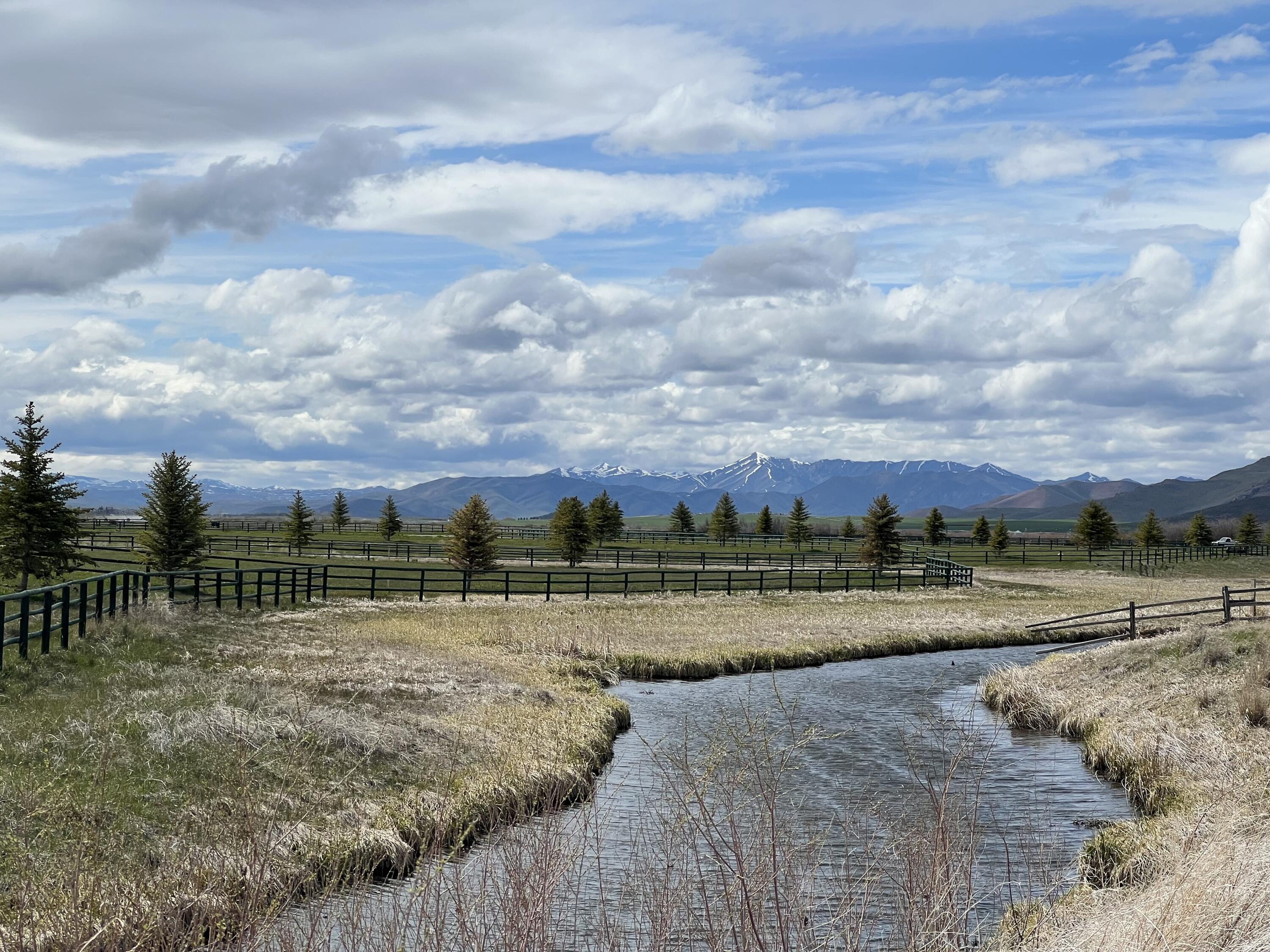 40 Purdy Way Carey, ID 83320 - Photo 5 of 11 Wetlands