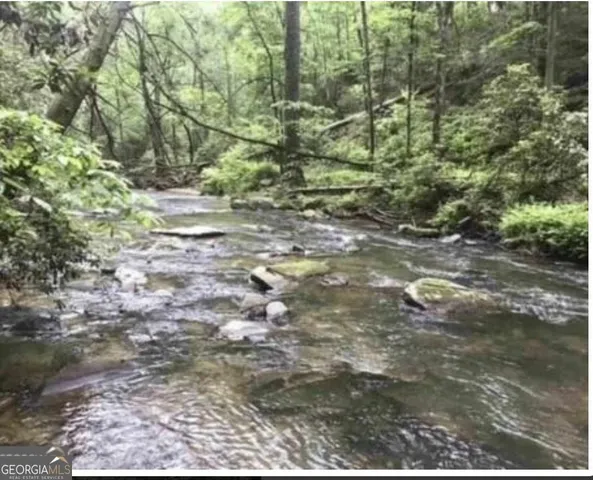 a view of outdoor space and trees